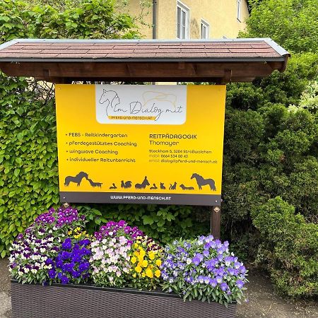 Pferdehof Thomayer Strasswalchen Esterno foto