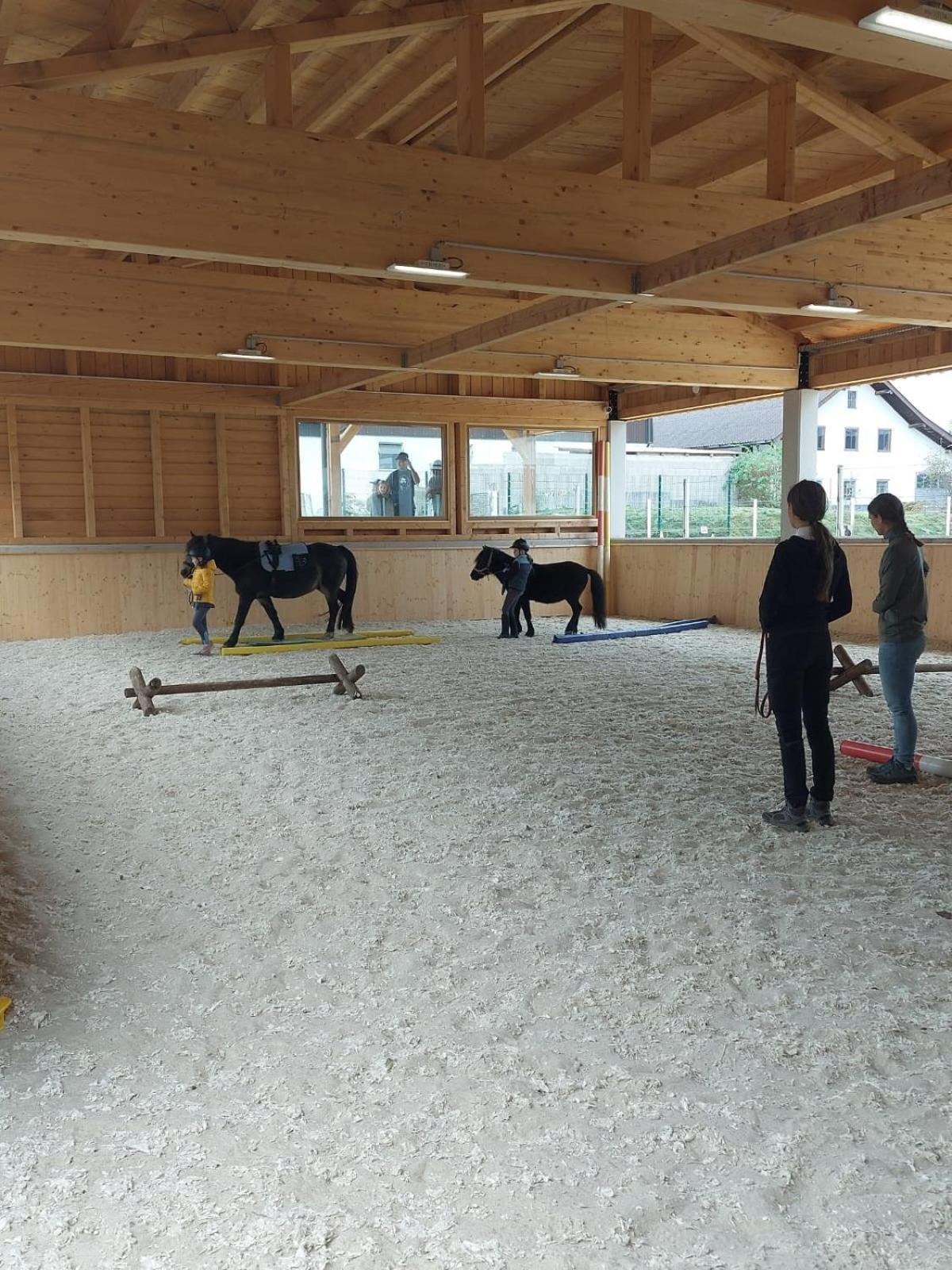 Pferdehof Thomayer Strasswalchen Esterno foto